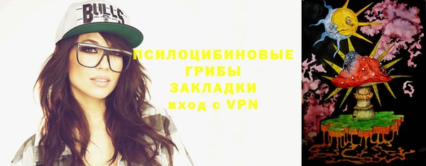 шишки Алзамай
