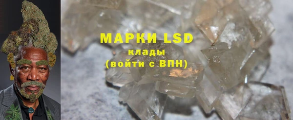 шишки Алзамай