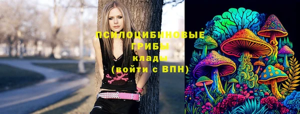 шишки Алзамай