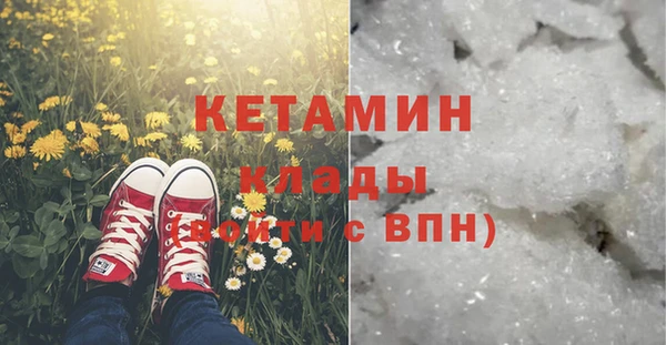 шишки Алзамай