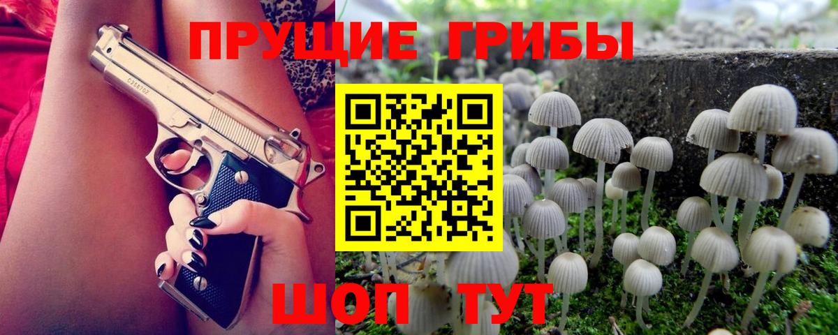 Псилоцибиновые грибы мицелий  Вход с VPN  Магадан 
