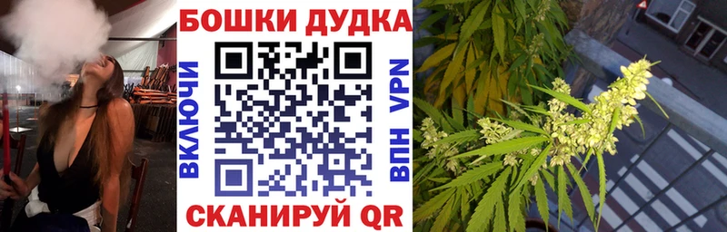 Бошки Шишки планчик  Магадан 