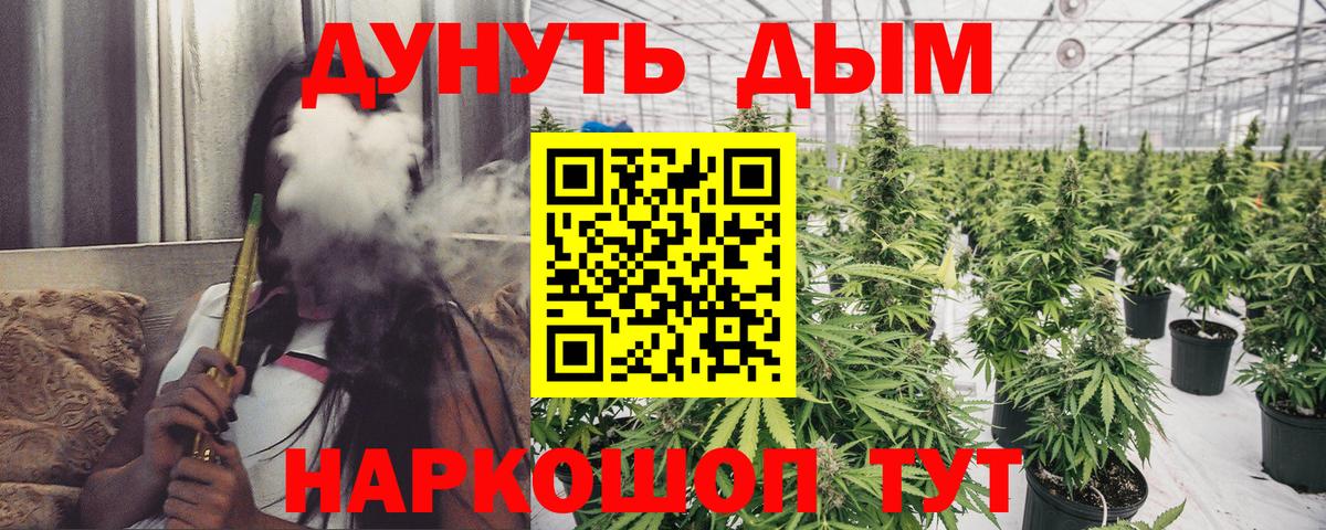 Бошки Шишки ГИДРОПОН  Марихуана гибрид  Бошки марихуана конопля  Вход с VPN  Магадан 